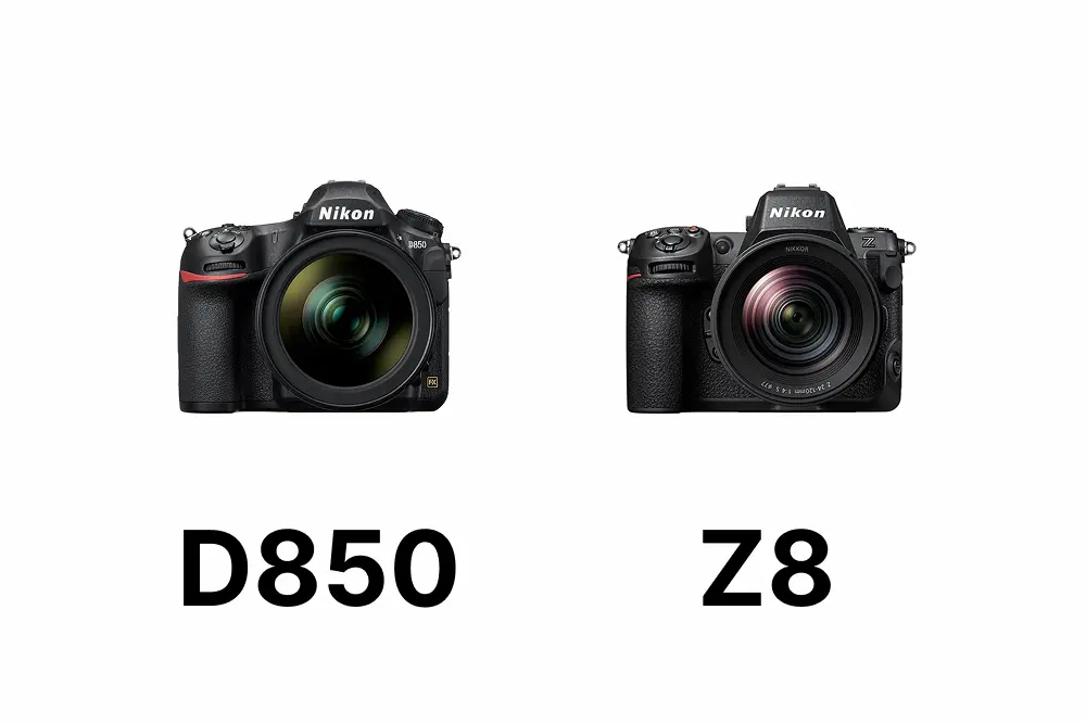 Nikon D850とZ8を比較｜静止画画質・AF・動画・価格の違いを解説【2026